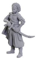 Dungeons & Dragons Nolzurs Marvelous Unpainted Miniatures: W23 Ansalon Human Rogue